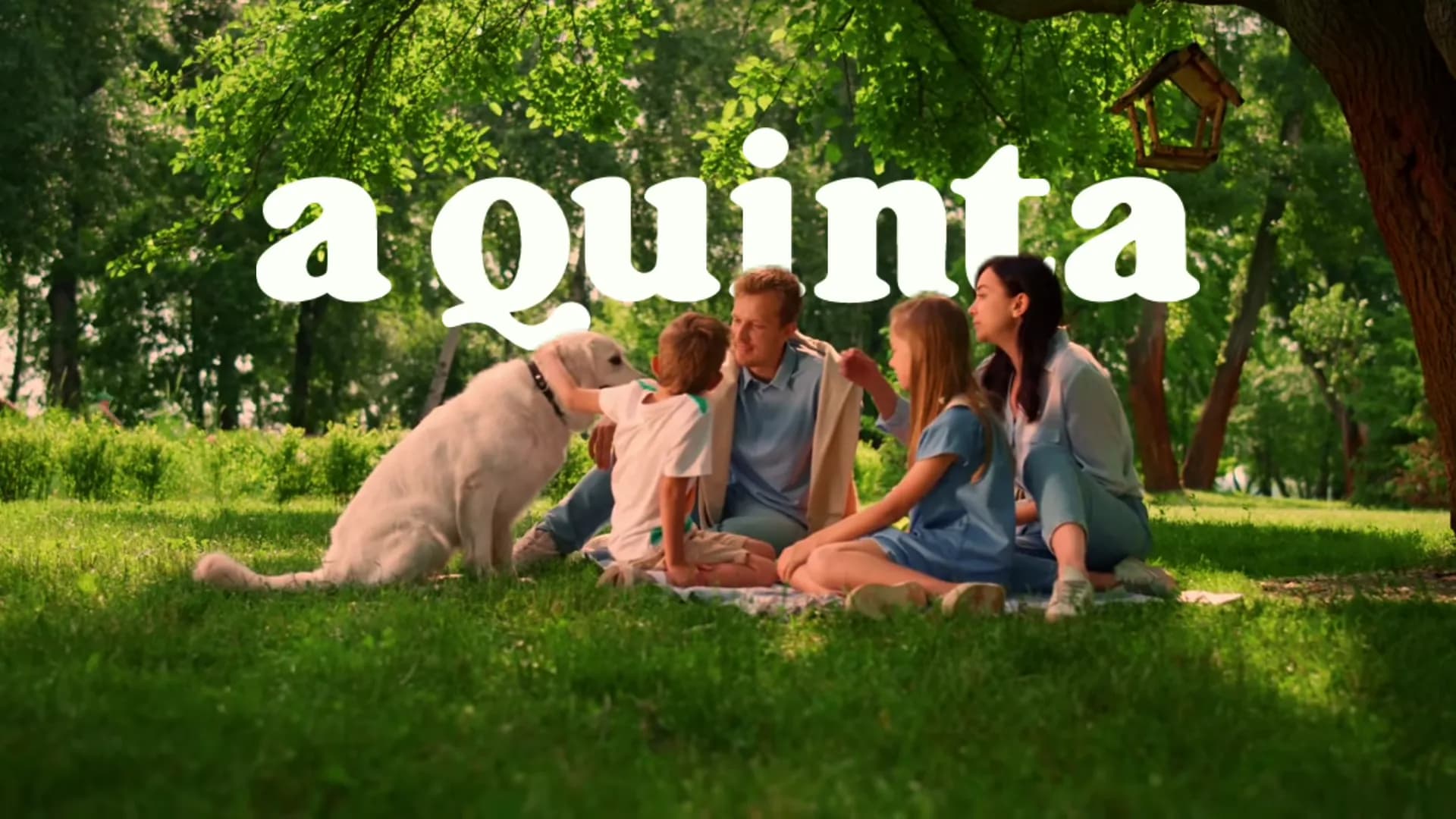 Famílias e cães A Quinta