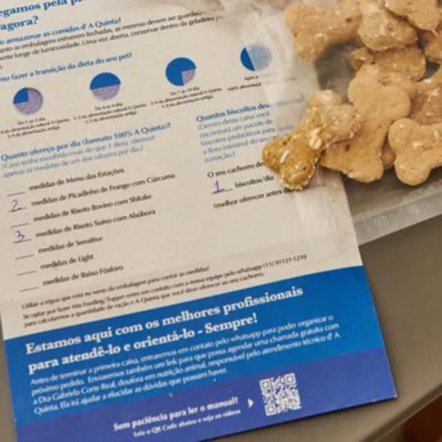Guia de transição